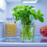 Wat is de aanbevolen temperatuur voor een koelkast?