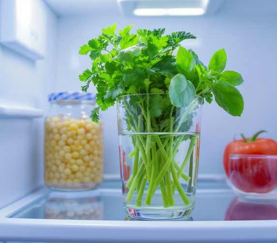 Kruiden vers houden in de koelkast?