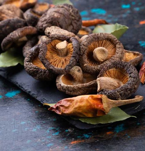 Shiitake drogen