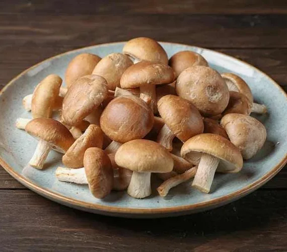 Shiitake bewaren