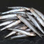 Erwtensoep invriezen