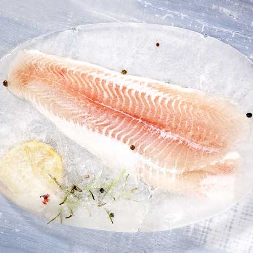 Pangasiusfilet invriezen
