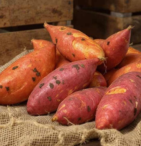 Zoete aardappel bewaren