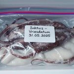 Citroenmarmelade maken