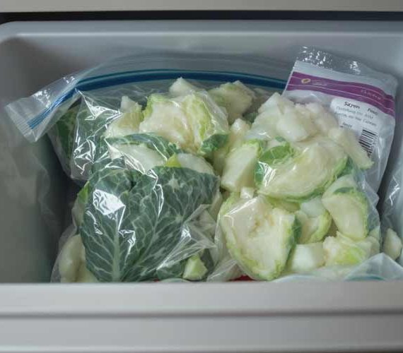 Savooiekool Invriezen