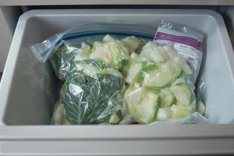 Savooiekool Invriezen