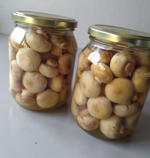 2 weckpotten met ingemaakte champignons.