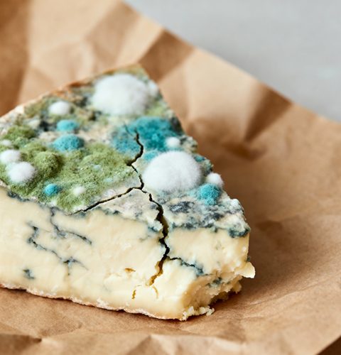 Kun je beschimmelde kaas nog eten?