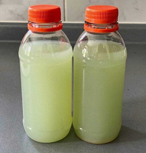 2 plastic flessen met Aloë vera-sap, klaar om in te vriezen.