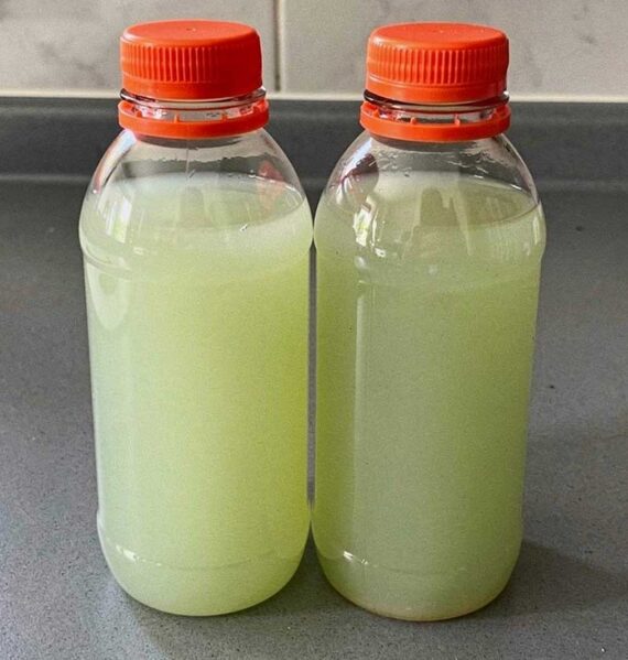 2 plastic flessen met Aloë vera-sap, klaar om in te vriezen.