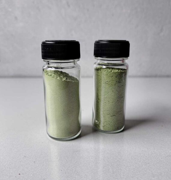 2 kruidenpotjes met selderijpoeder, gemaakt van gedroogde bleekselderij.