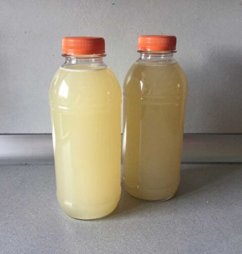 2 plastic flessen gembersap, die ingevroren kunnen worden.