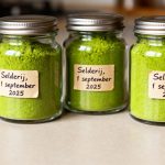 Zwarte bessen sap maken