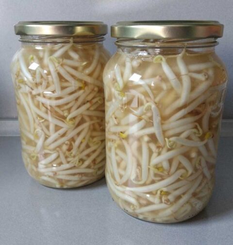 2 inmaakpotten vol met ingemaakte taugé.