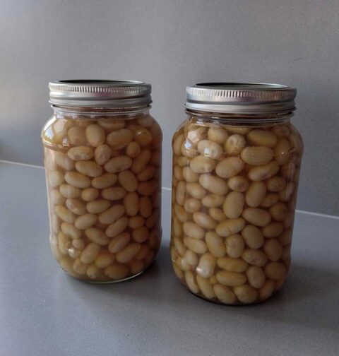 2 weckpotten met schroefdeksel met daarin geweckte witte bonen.
