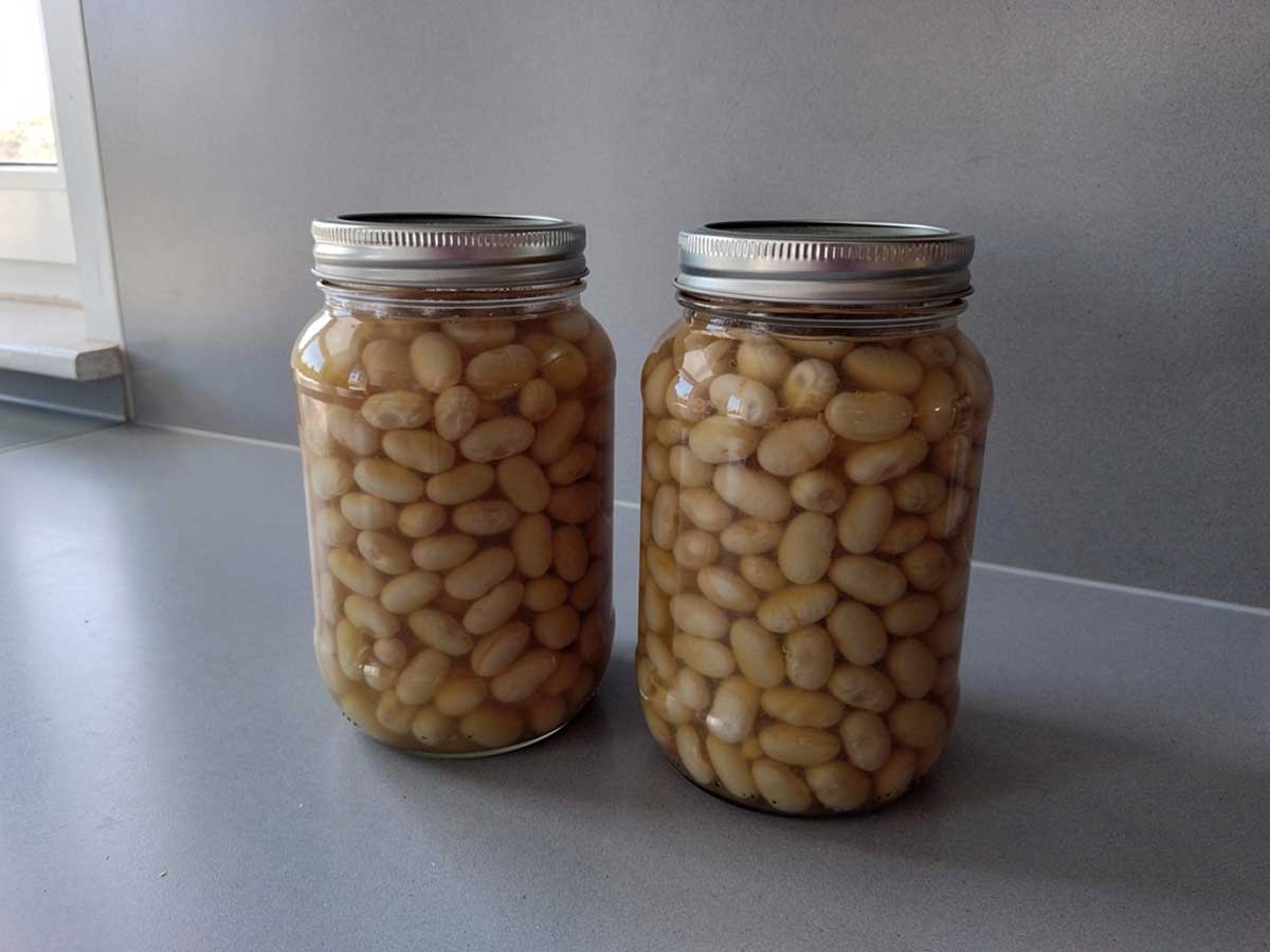 2 weckpotten met schroefdeksel met daarin geweckte witte bonen.