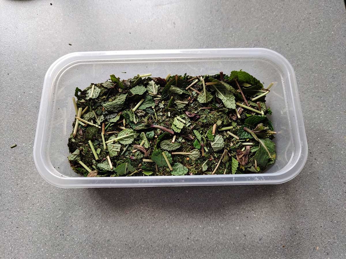 Een diepvriesbakje met daarin gehakte munt.