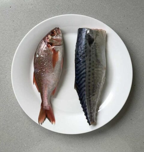 2 verschillende soorten verse vis op een bord.