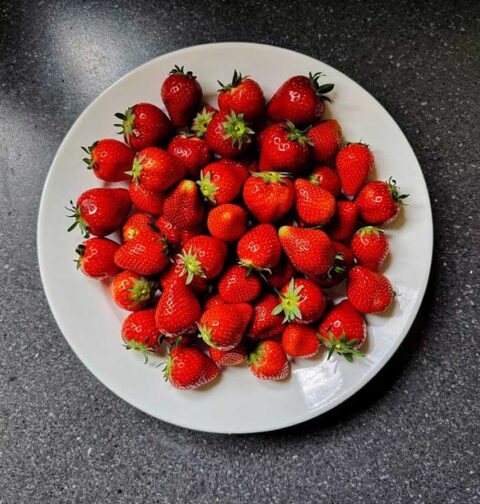 Verse, net geplukte aardbeien op een wit bord.