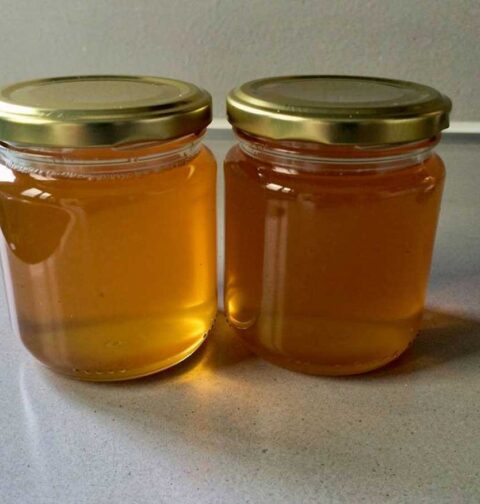 2 jampotten met zelfgemaakt, heldere appelgelei.