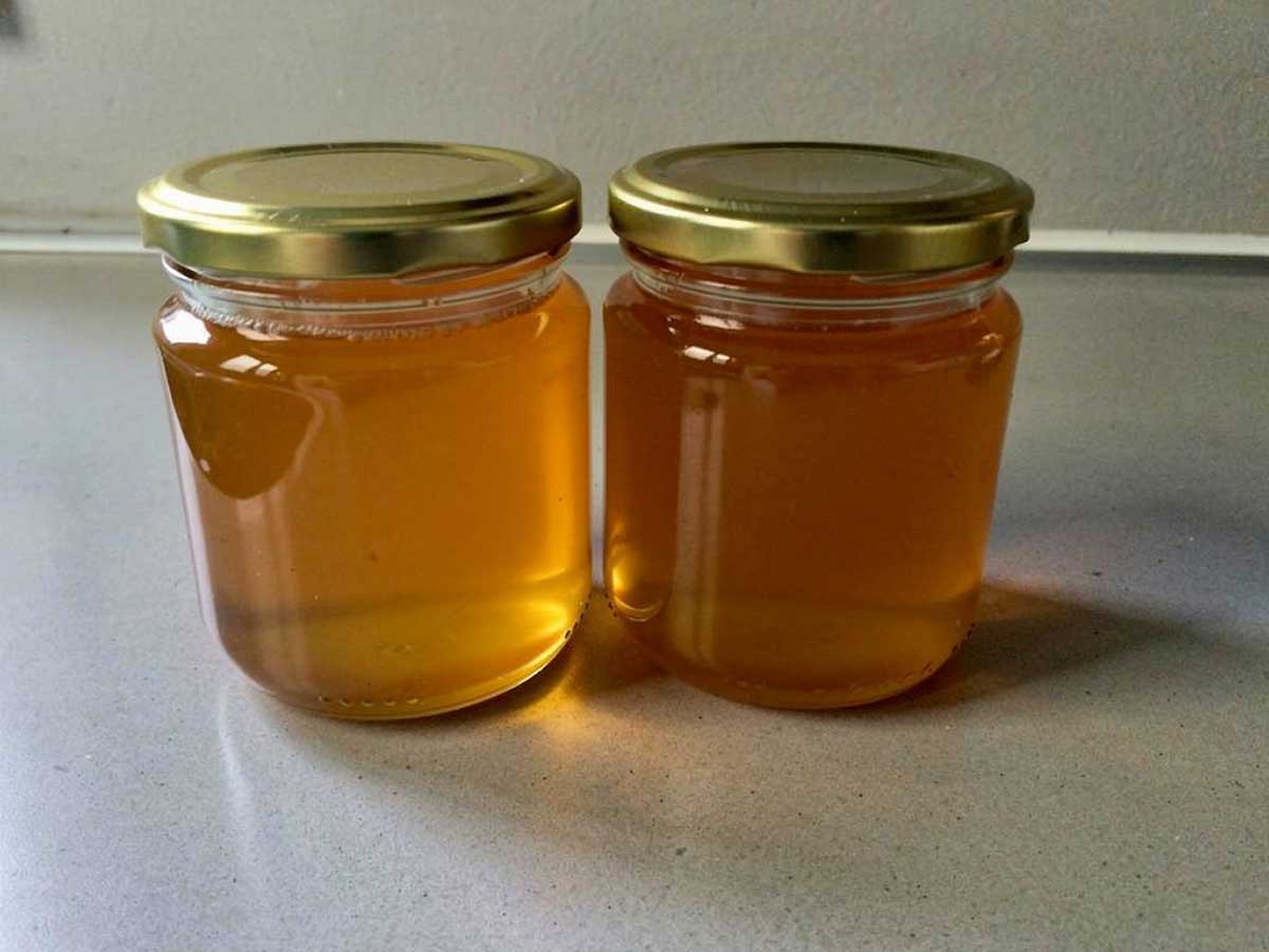 2 jampotten met zelfgemaakt, heldere appelgelei.