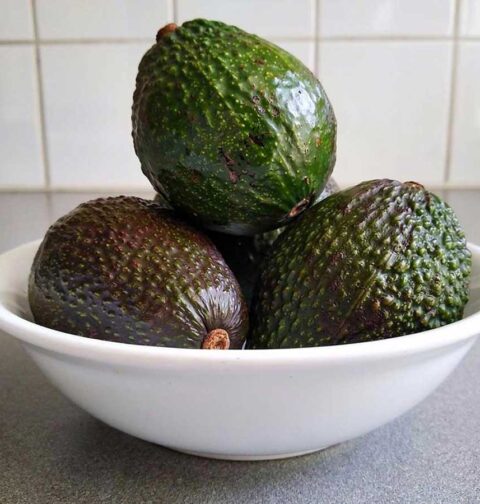 4 avocado's op een fruitmand, om in te vriezen.