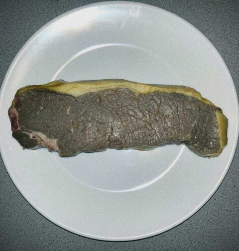Een stuk bedorven rundvlees op een bord.