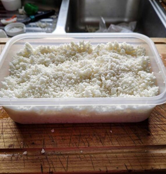 Een plastic bakje met een overschot aan bloemkoolrijst.