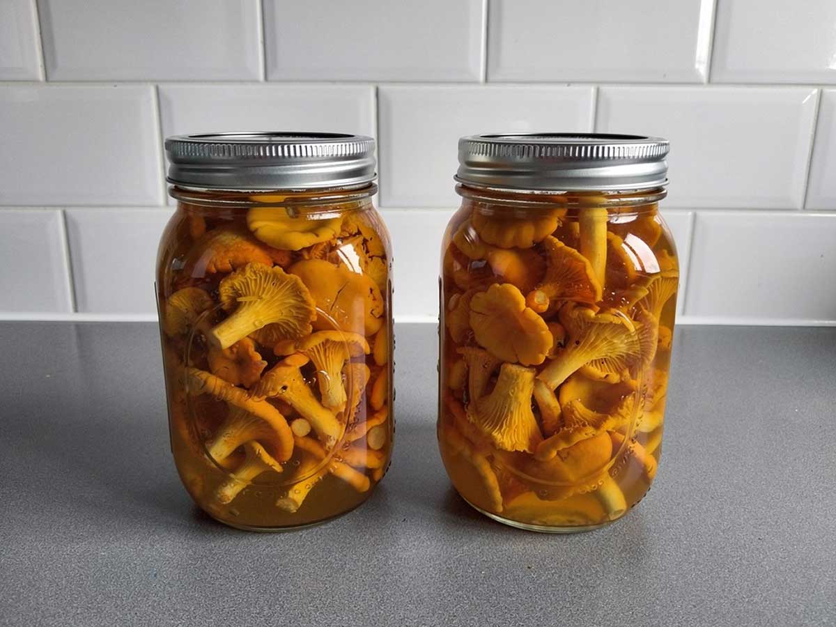 2 grote inmaakpotten met daarin ingemaakte cantharellen.