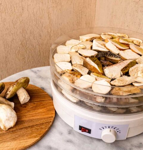 Een voedseldroger of dehydrator