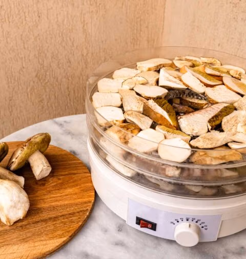 Een voedseldroger of dehydrator