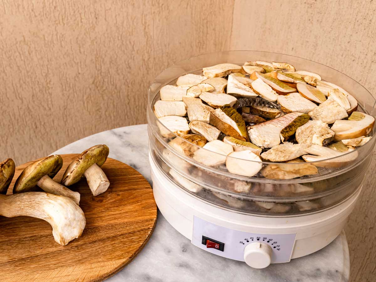 Een voedseldroger of dehydrator