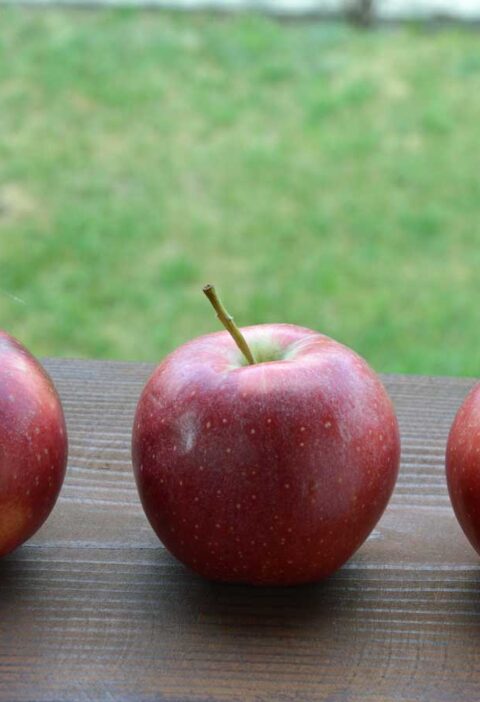 3 appels liggen buiten op een houten plank in de koelte.