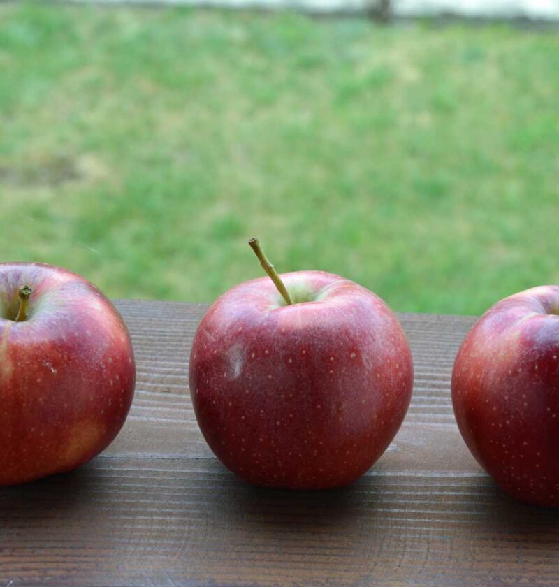 3 appels liggen buiten op een houten plank in de koelte.