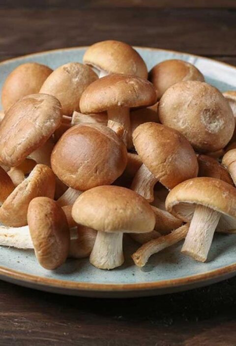 Een bordje vol met shiitake om te bewaren.