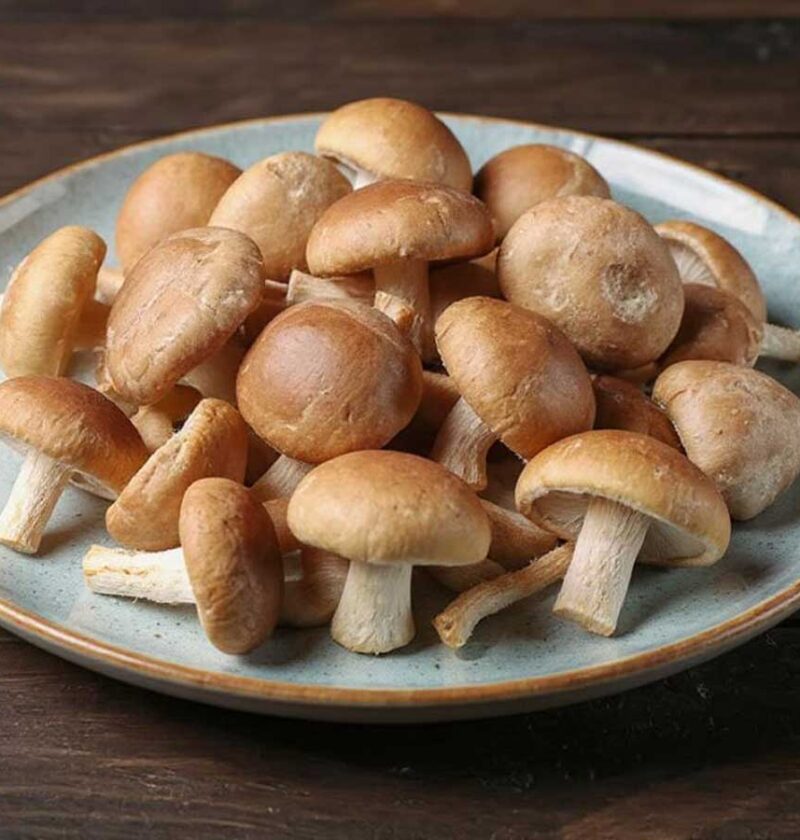 Een bordje vol met shiitake om te bewaren.