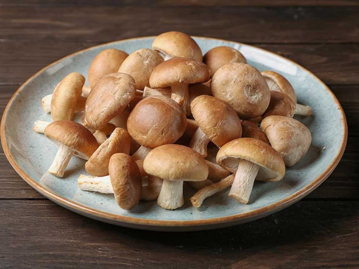 Een bordje vol met shiitake om te bewaren.