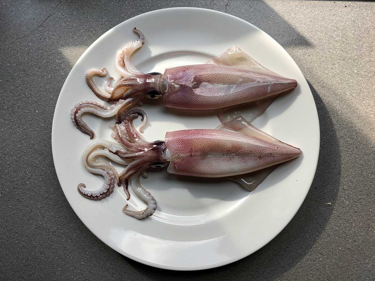 2 intvissen op een wit bord, om straks ingevroren te worden.