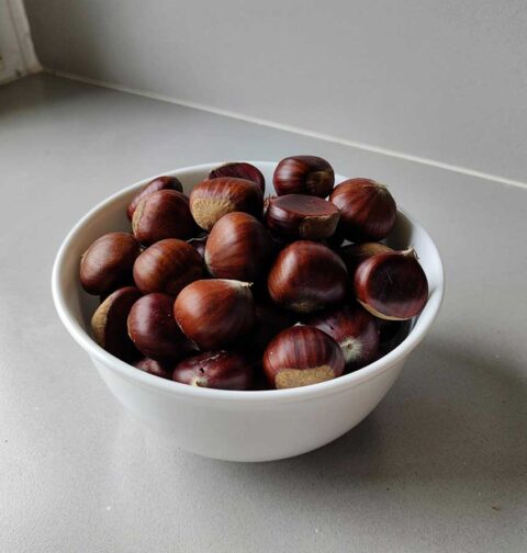 Een schaaltje met net geraapte tamme kastanjes.