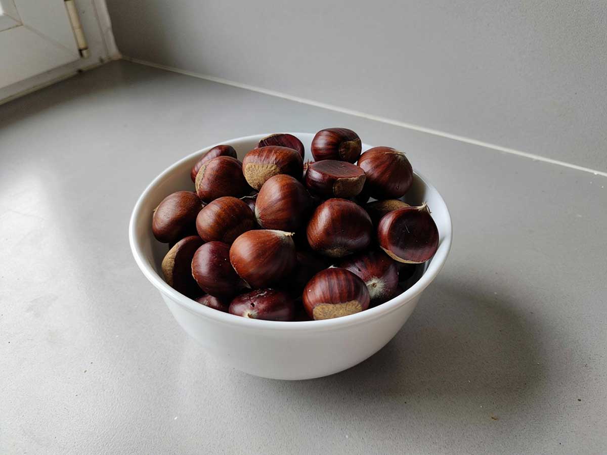 Een schaaltje met net geraapte tamme kastanjes.