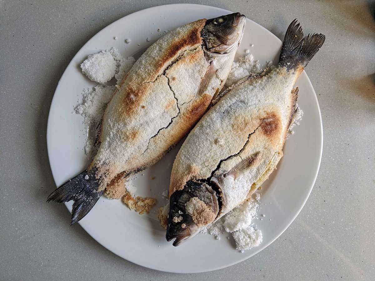 Kun je verse vis in zout inpakken, en zo langer houdbaar maken?
