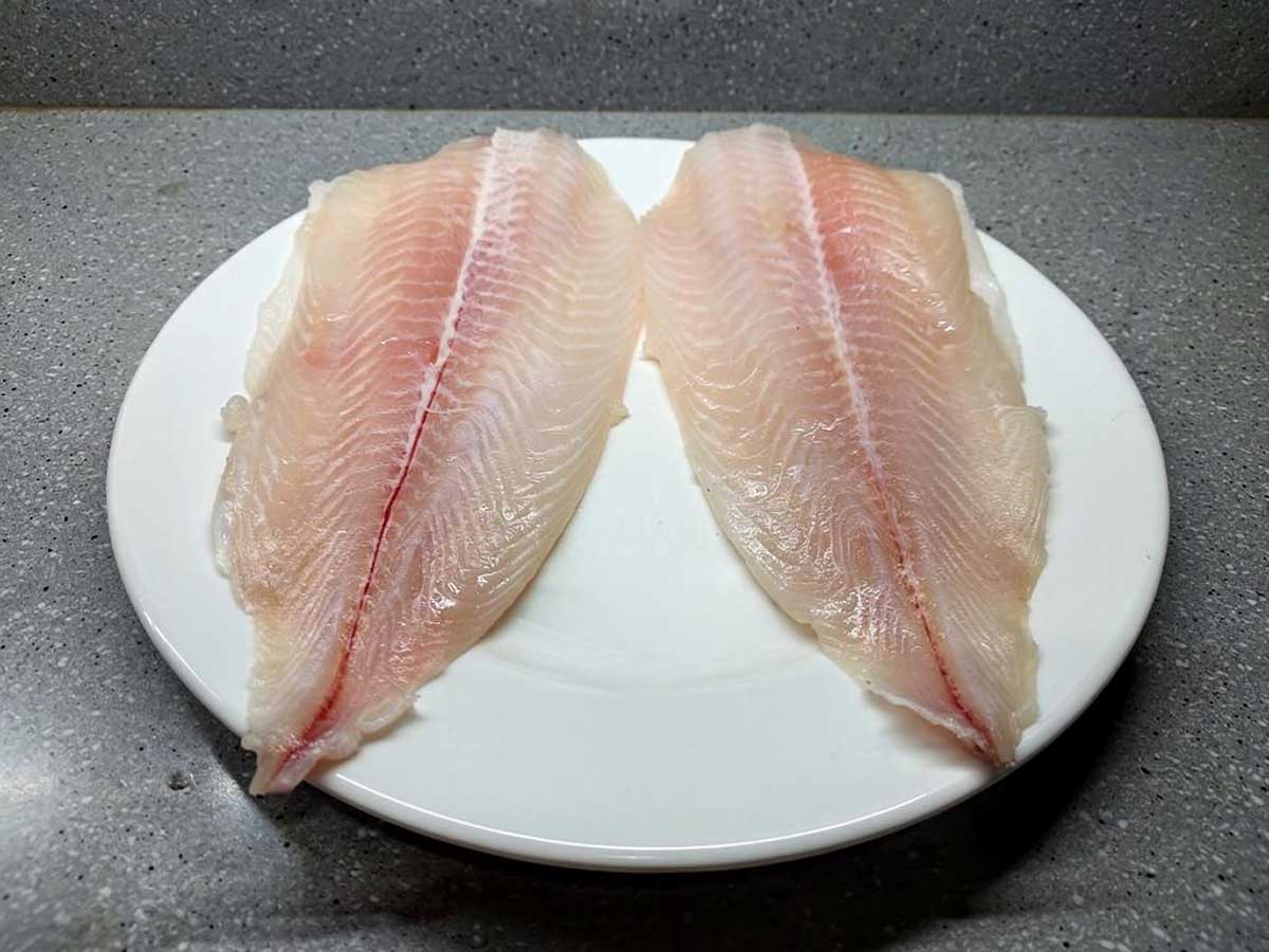 2 pangasiusfilets op een bord, klaar om ingevroren te worden.