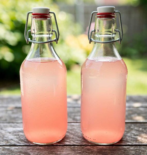 Twee beugelflessen gevuld met zelfgemaakte rabarber limonade.