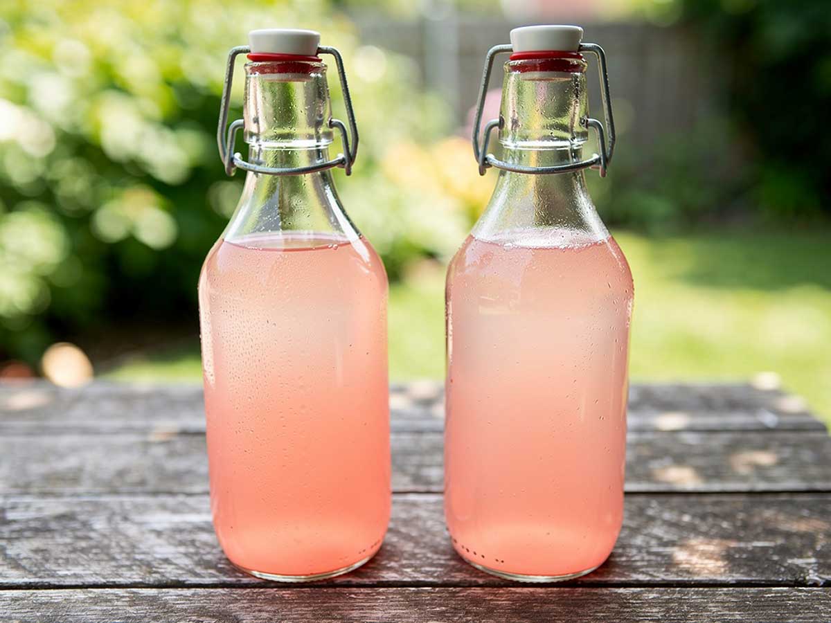 Twee beugelflessen gevuld met zelfgemaakte rabarber limonade.