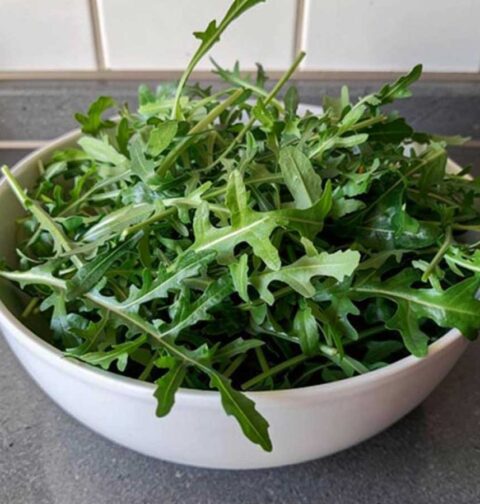 Een wit schaaltje met verse rucola.