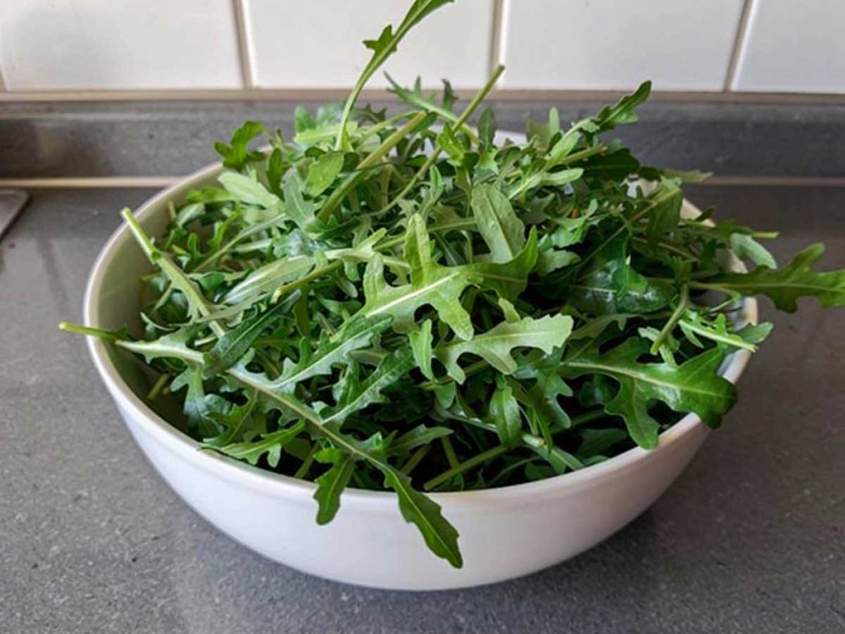 Een wit schaaltje met verse rucola.