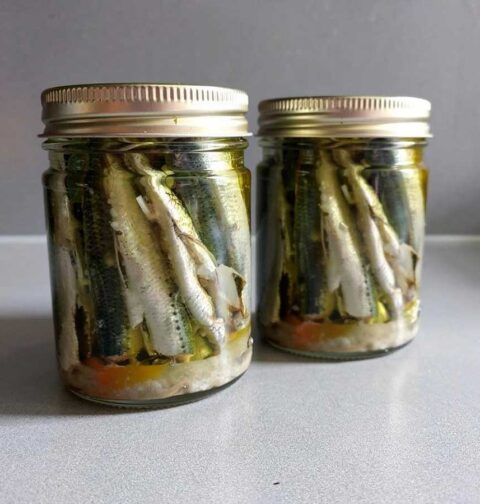 2 inmaakpotten met ingemaakte sardines, zonder kop of staart.