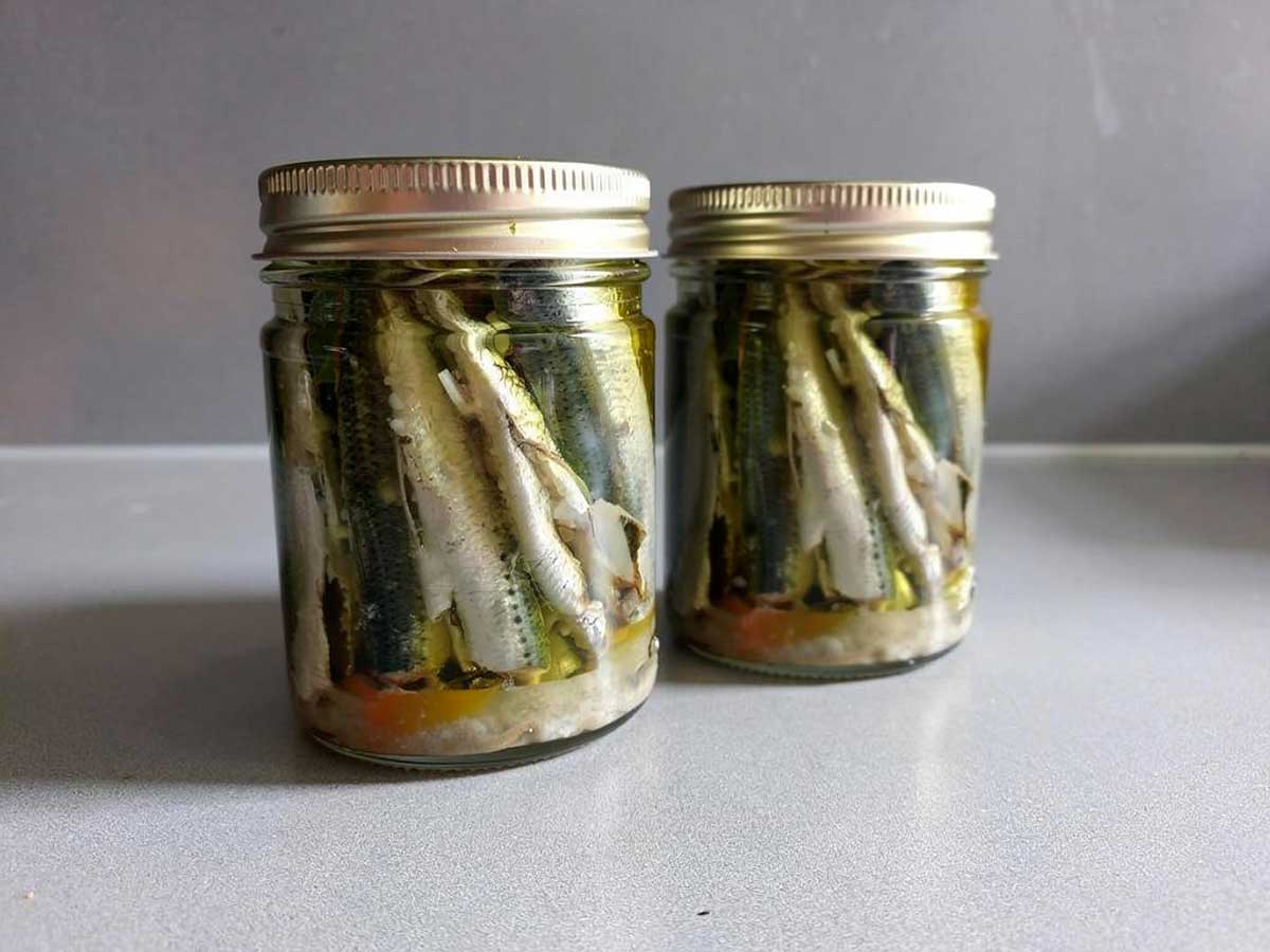 2 inmaakpotten met ingemaakte sardines, zonder kop of staart.