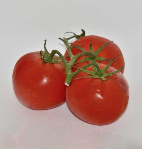 Tros tomaten op een witte achtergrond.