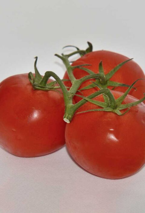 Tros tomaten op een witte achtergrond.
